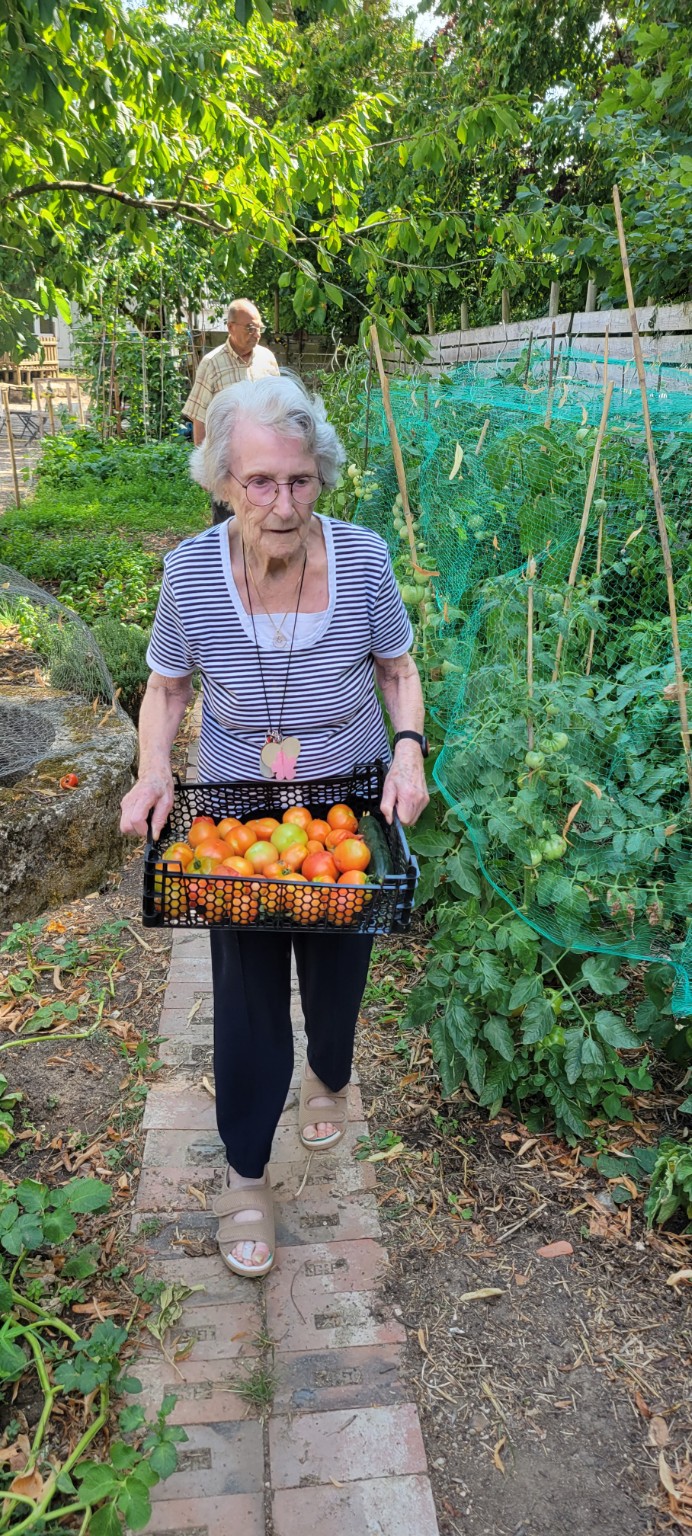 Les récoltes du potager